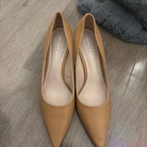 Charles & Keith Camel Pointed-Toe Pumps